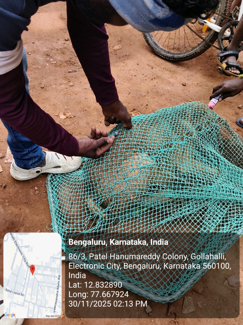 WhatsApp Image 2025-12-02 at 2.37.07 PM