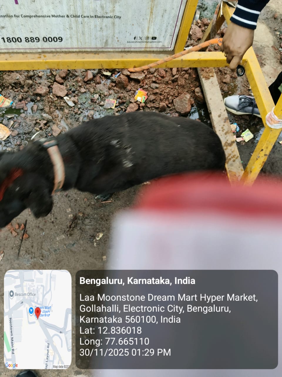 WhatsApp Image 2025-12-02 at 2.37.08 PM (1)