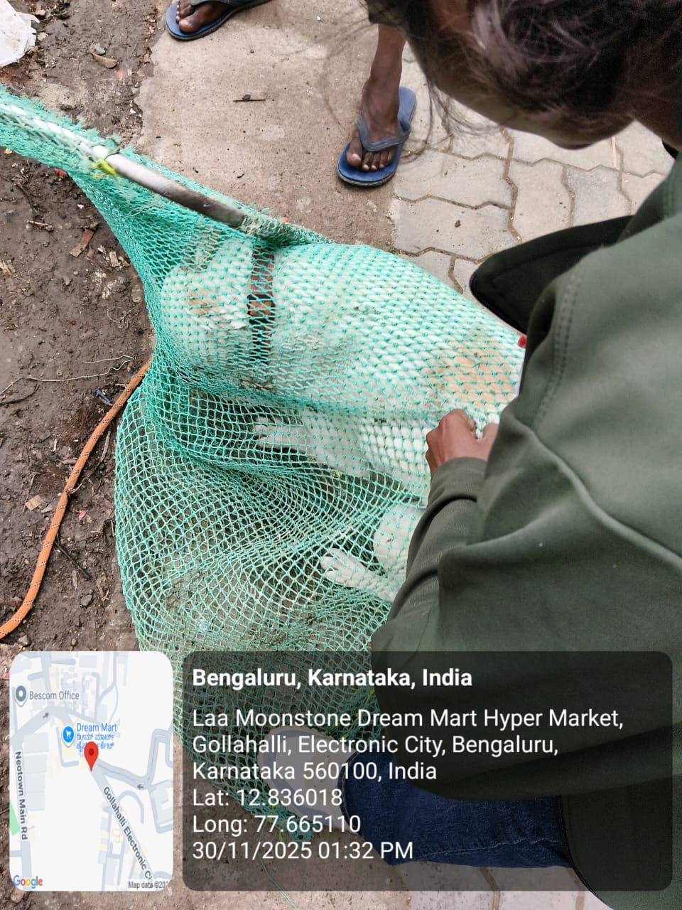 WhatsApp Image 2025-12-02 at 2.37.08 PM (2)