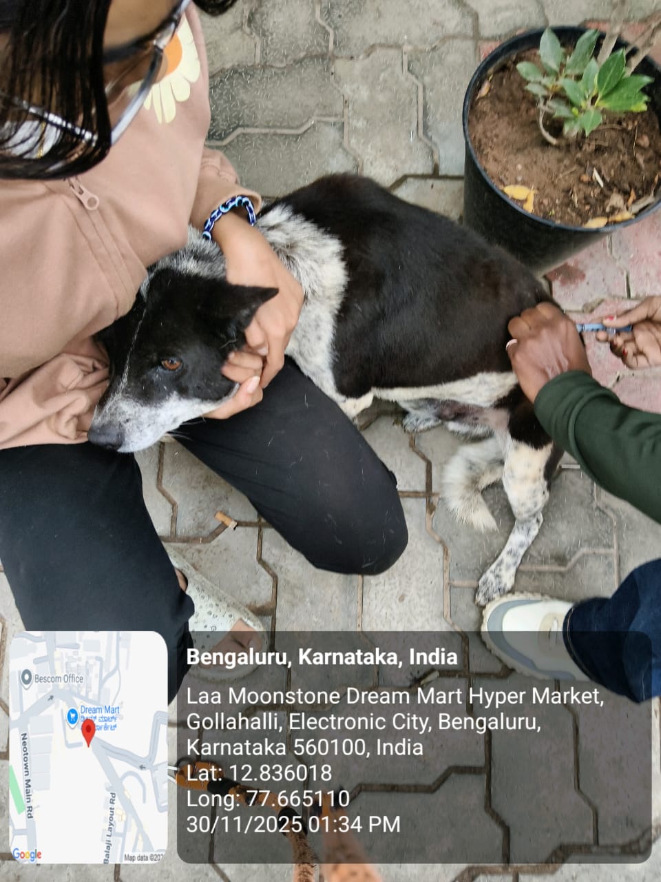 WhatsApp Image 2025-12-02 at 2.37.08 PM (3)