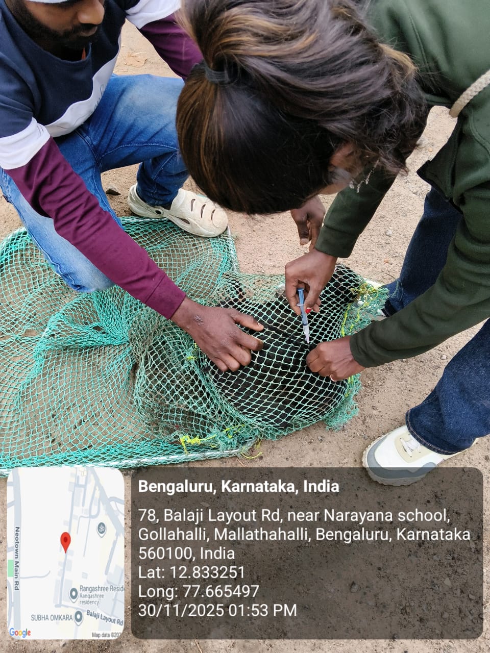 WhatsApp Image 2025-12-02 at 2.37.10 PM