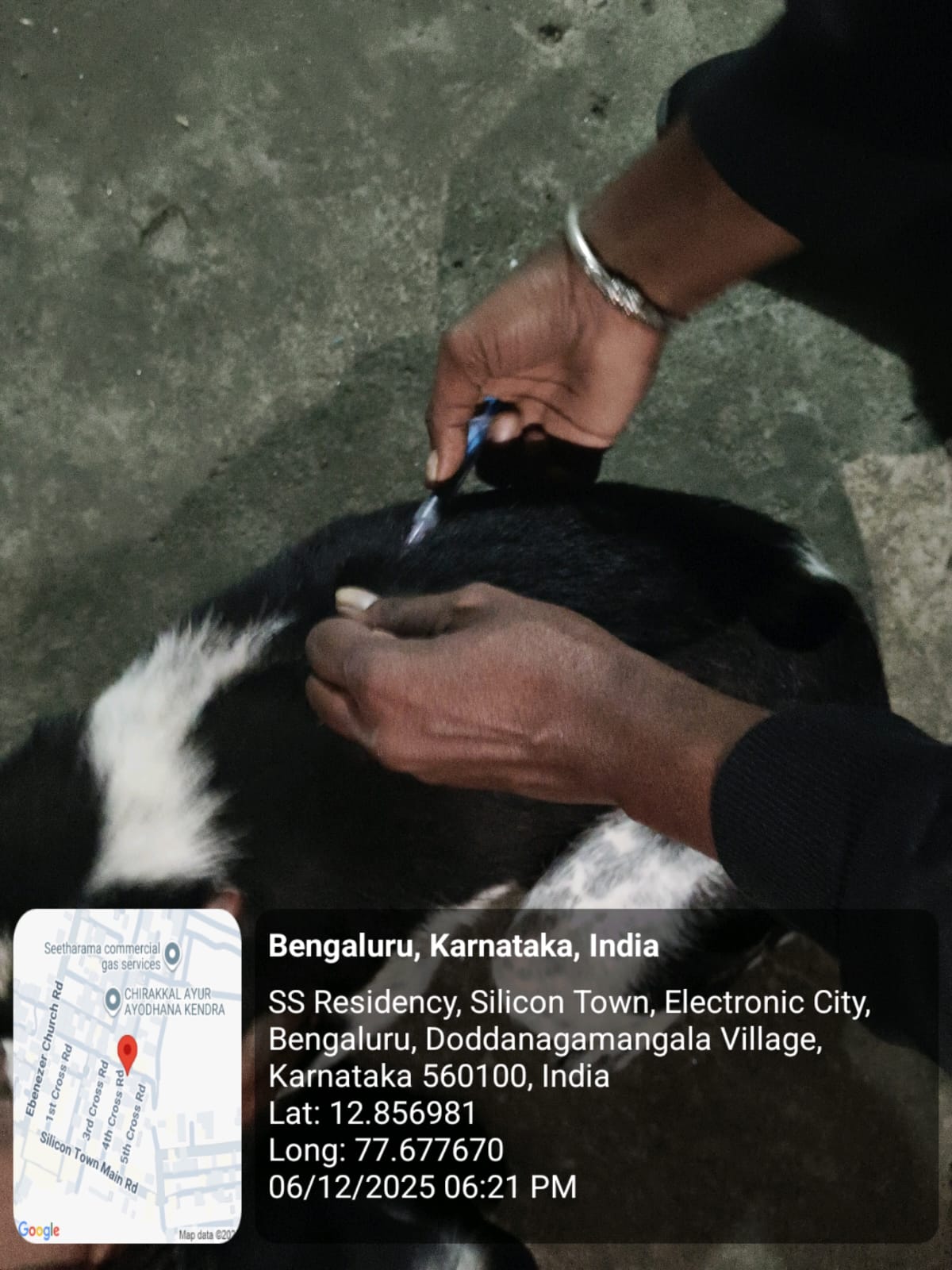 WhatsApp Image 2025-12-07 at 2.02.00 PM (1)