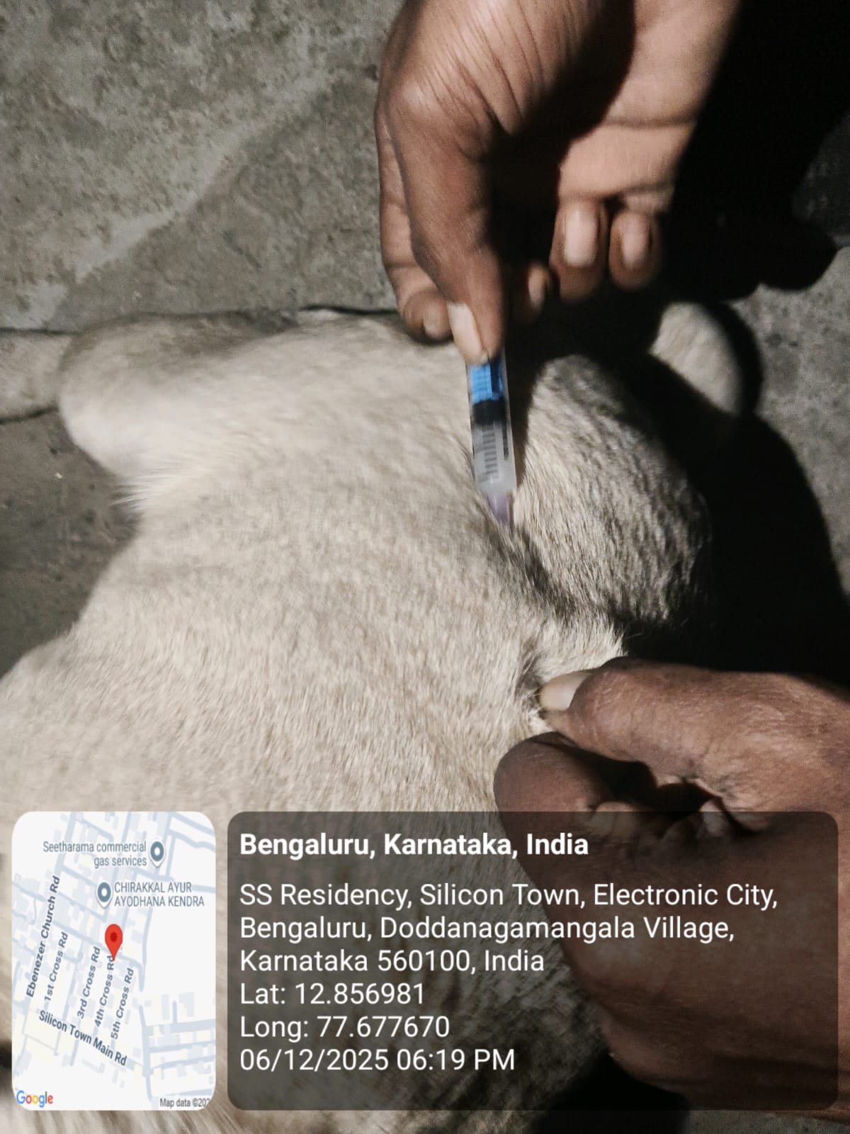 WhatsApp Image 2025-12-07 at 2.02.00 PM (3)