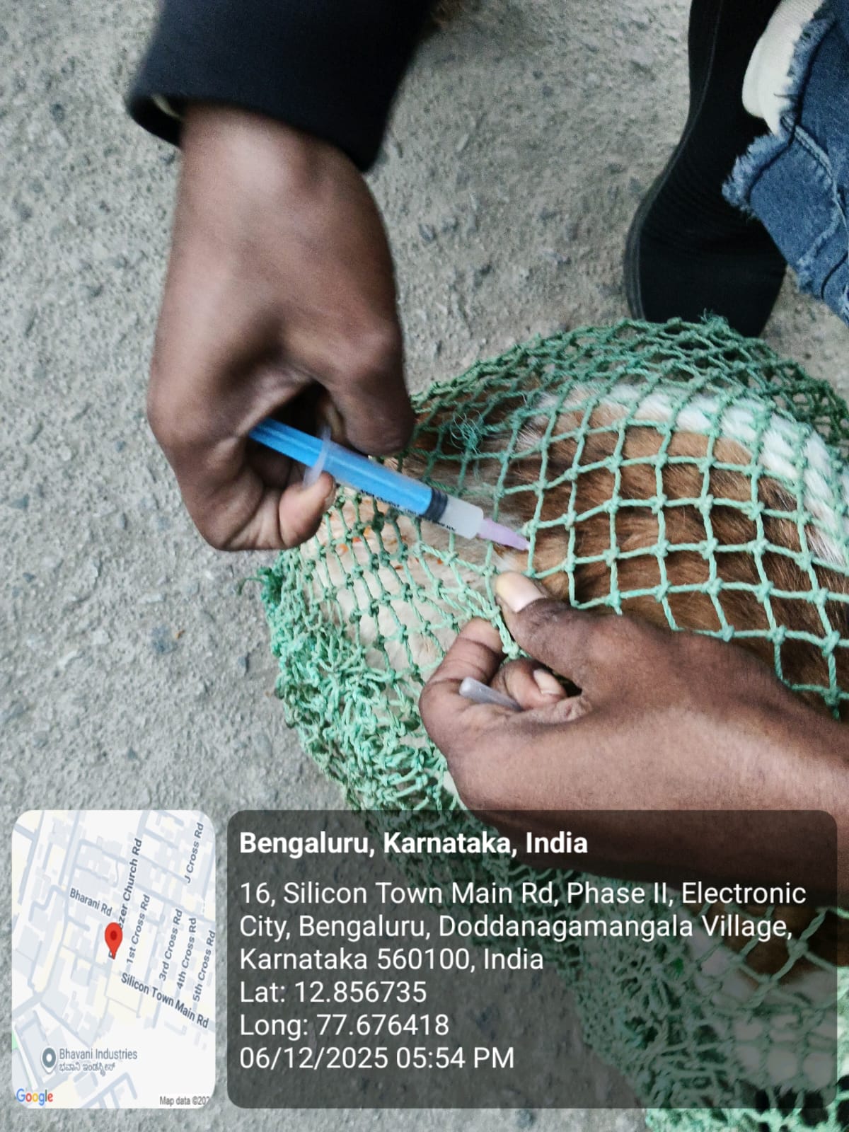 WhatsApp Image 2025-12-07 at 2.02.01 PM (3)