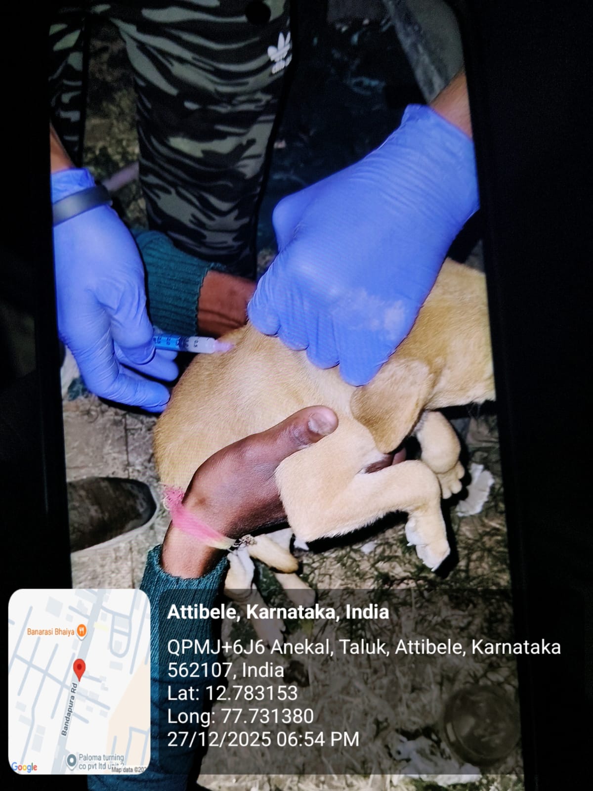 WhatsApp Image 2025-12-29 at 11.06.34 AM