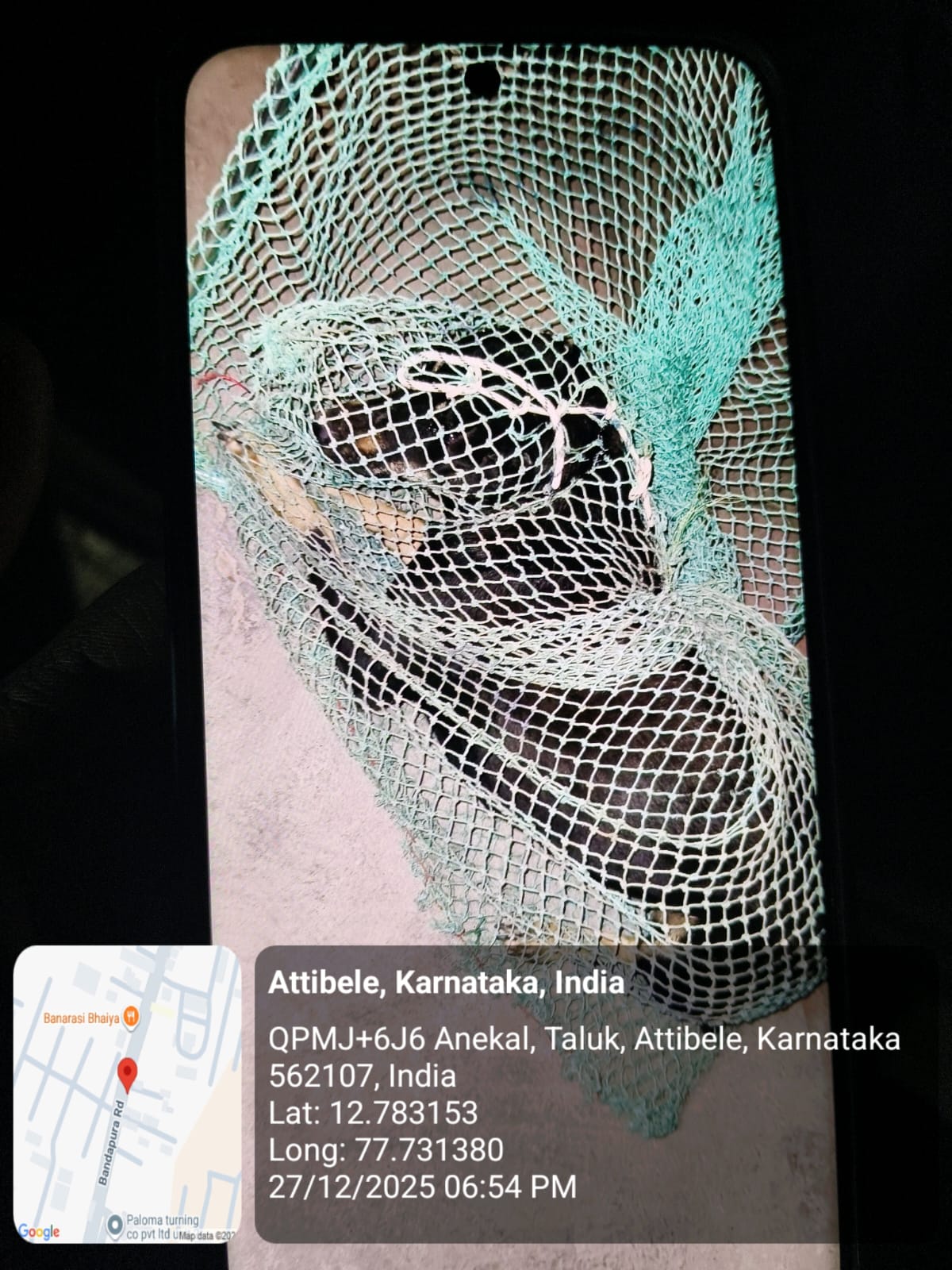 WhatsApp Image 2025-12-29 at 11.06.35 AM (1)