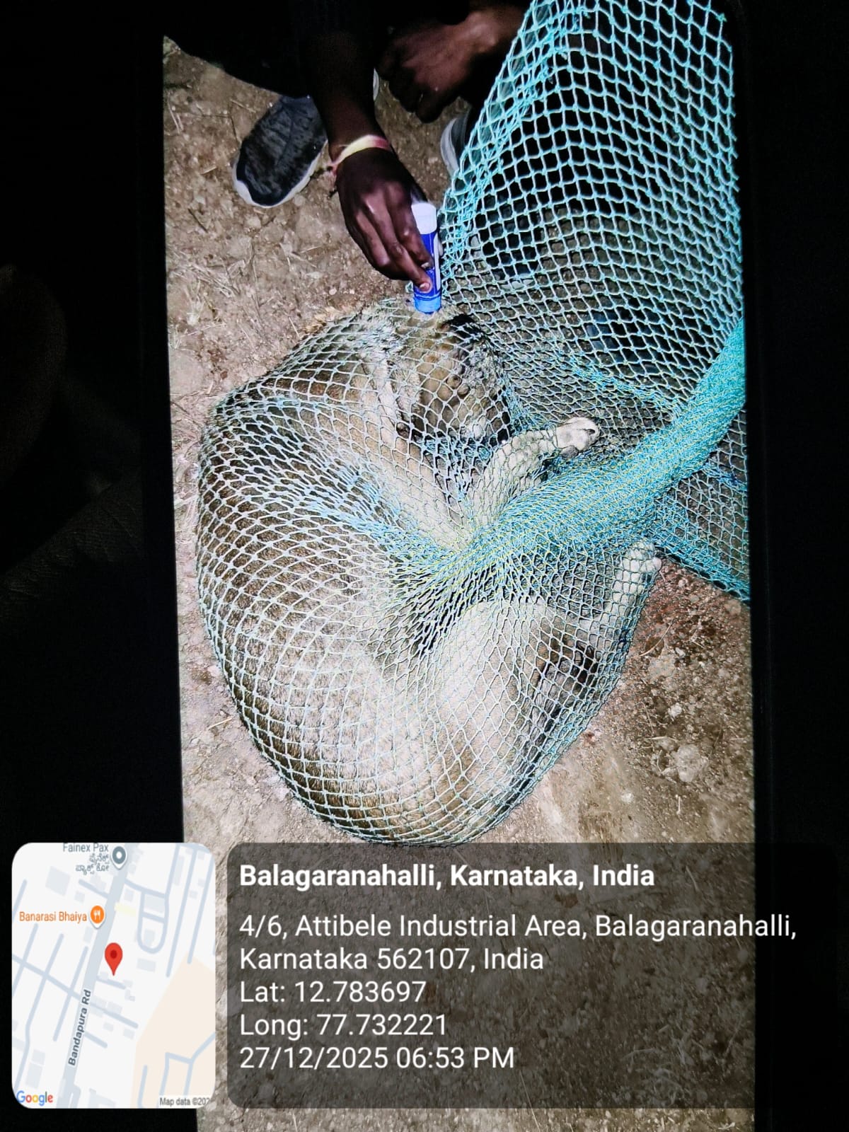 WhatsApp Image 2025-12-29 at 11.06.35 AM (2)