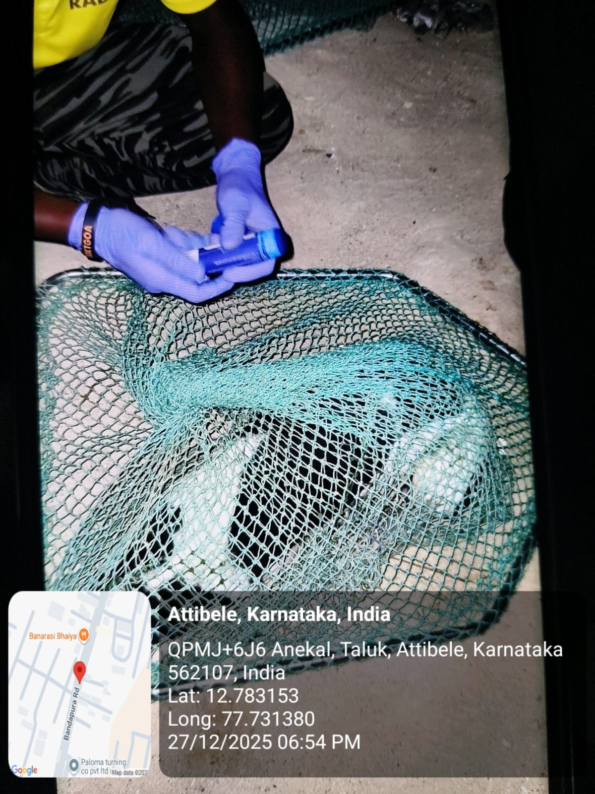 WhatsApp Image 2025-12-29 at 11.06.35 AM