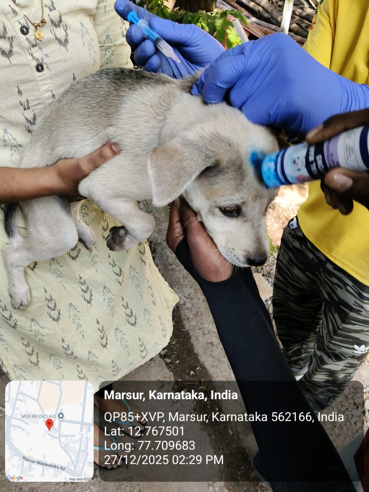 WhatsApp Image 2025-12-29 at 11.06.38 AM