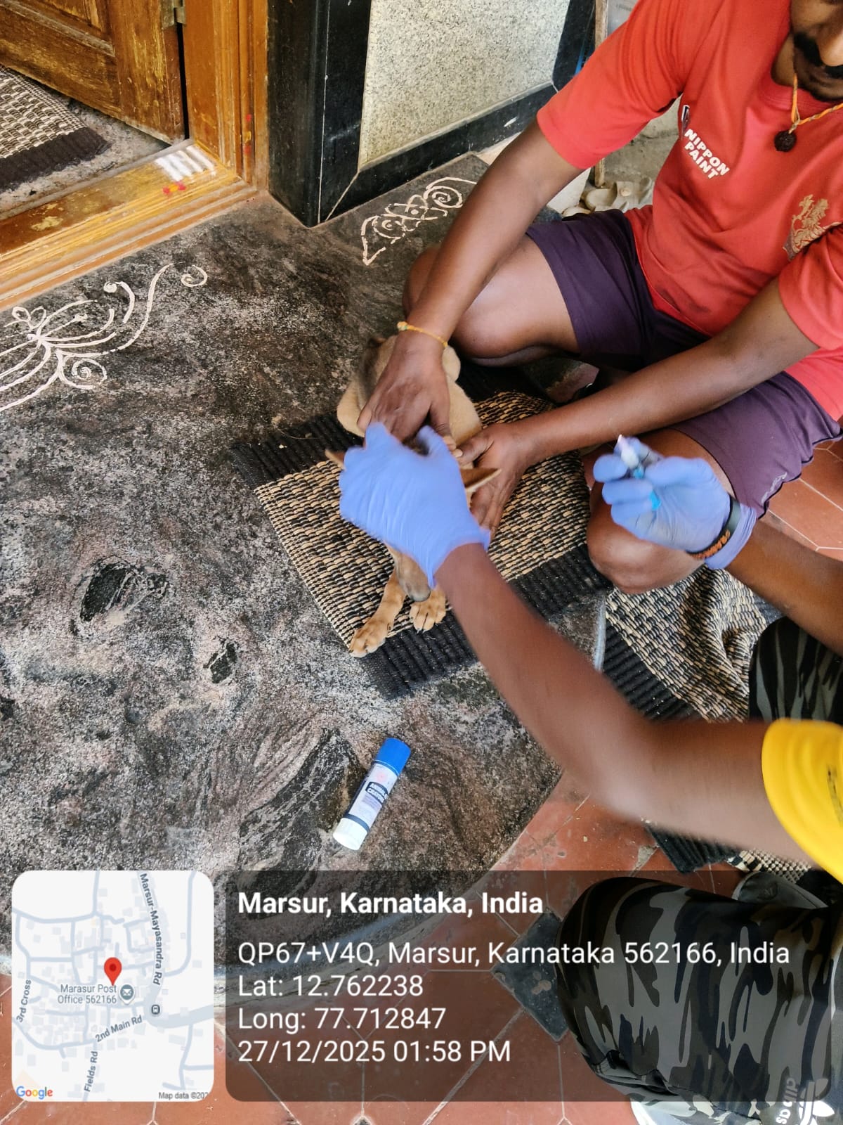 WhatsApp Image 2025-12-29 at 11.06.39 AM (2)