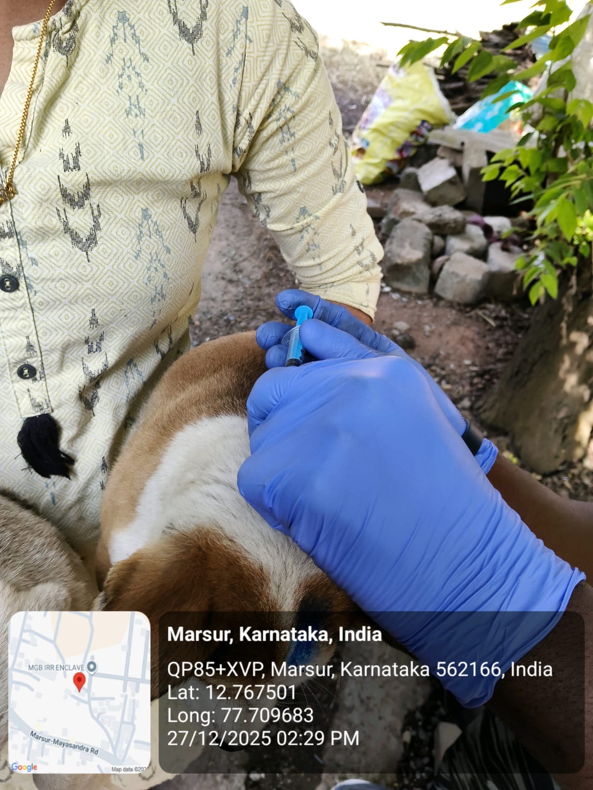 WhatsApp Image 2025-12-29 at 11.06.39 AM