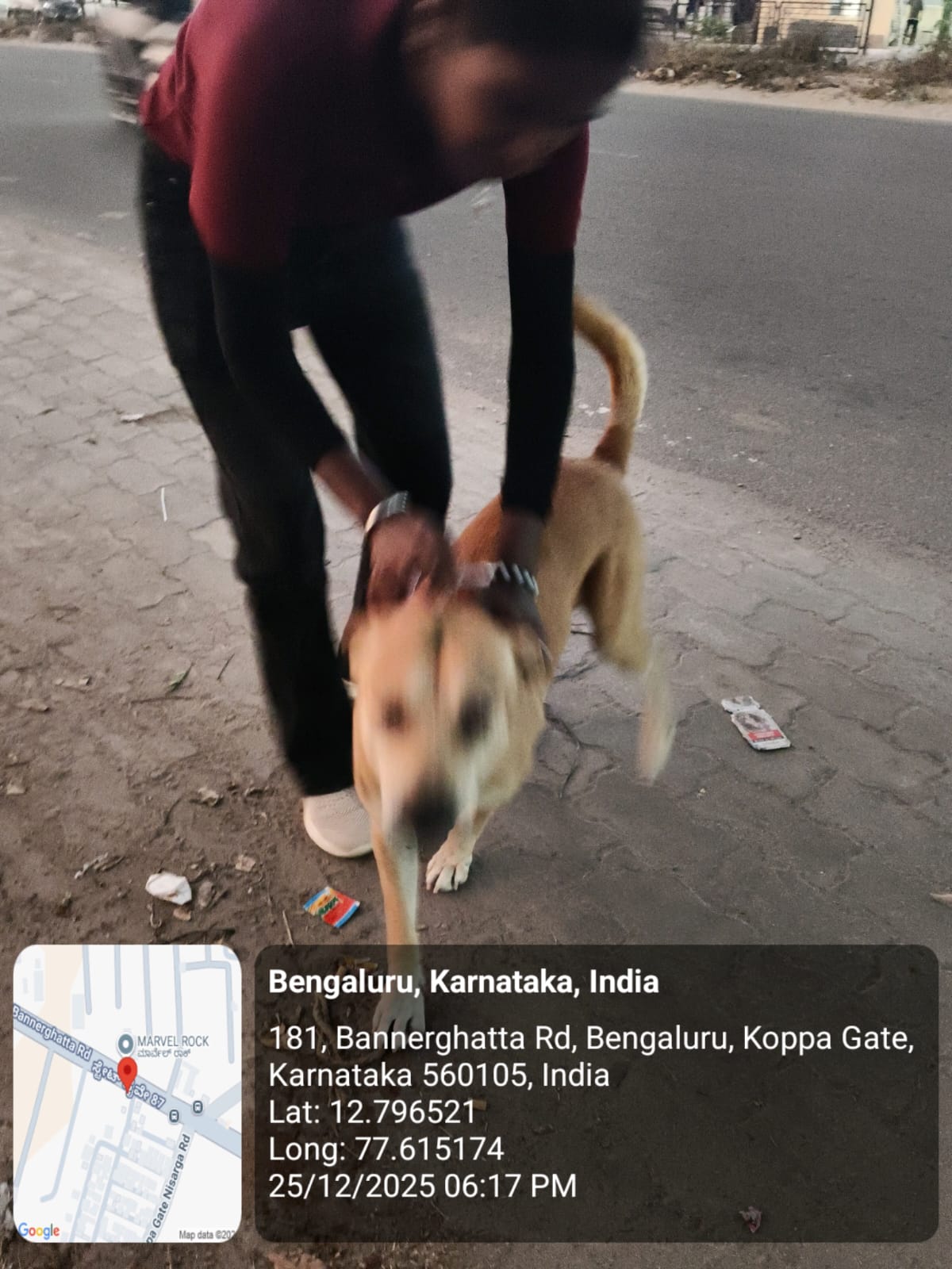 WhatsApp Image 2025-12-29 at 11.11.43 AM (2)