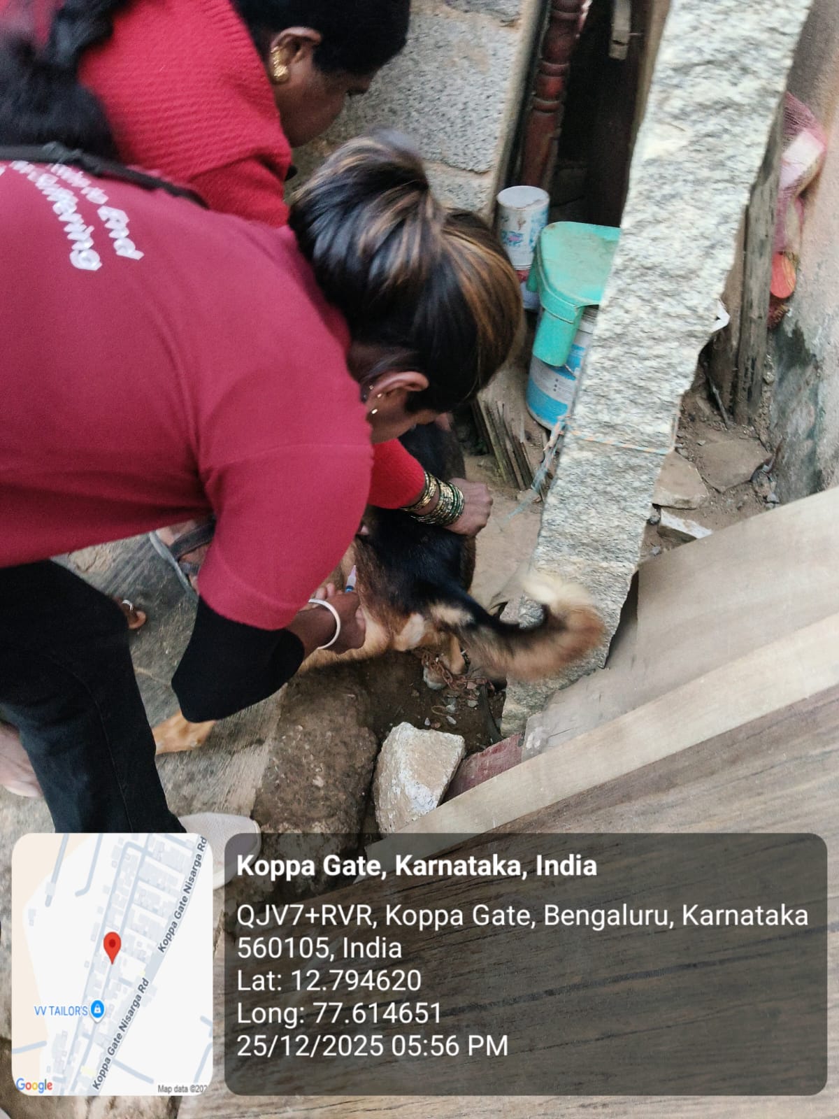 WhatsApp Image 2025-12-29 at 11.11.44 AM (2)