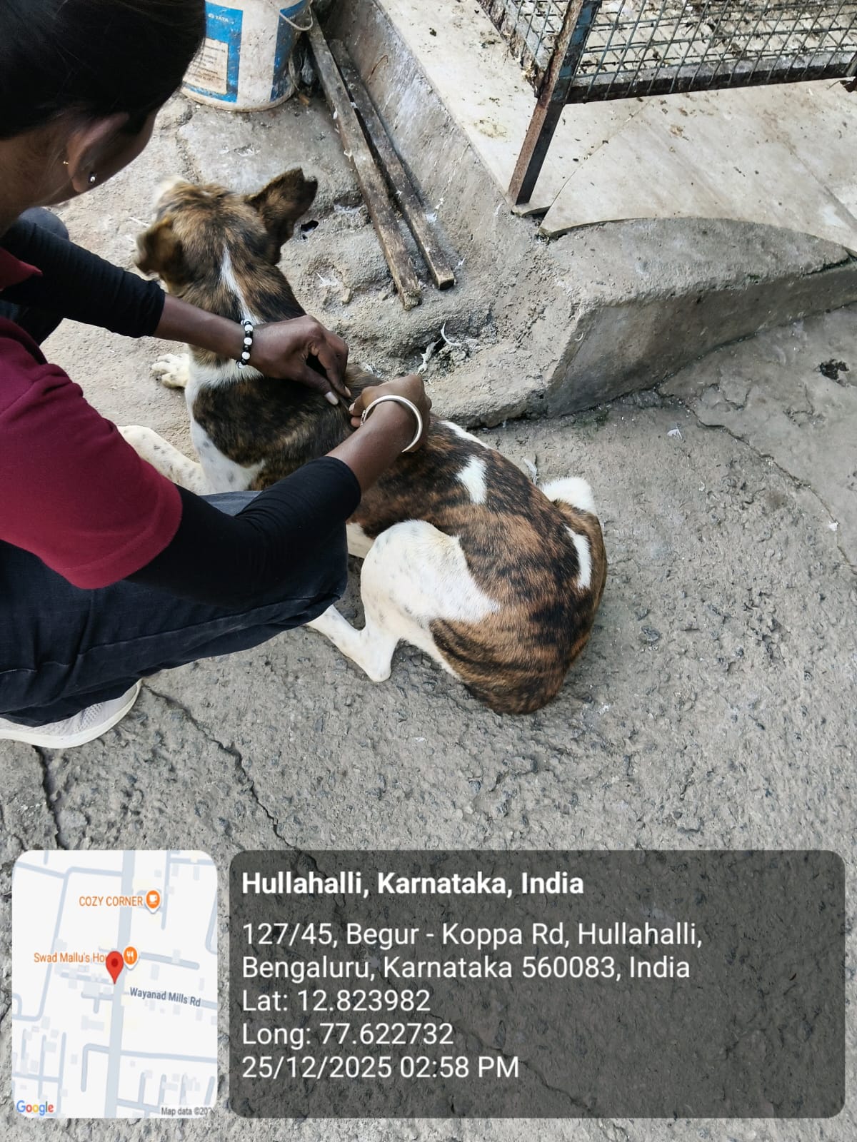 WhatsApp Image 2025-12-29 at 11.12.05 AM (1)