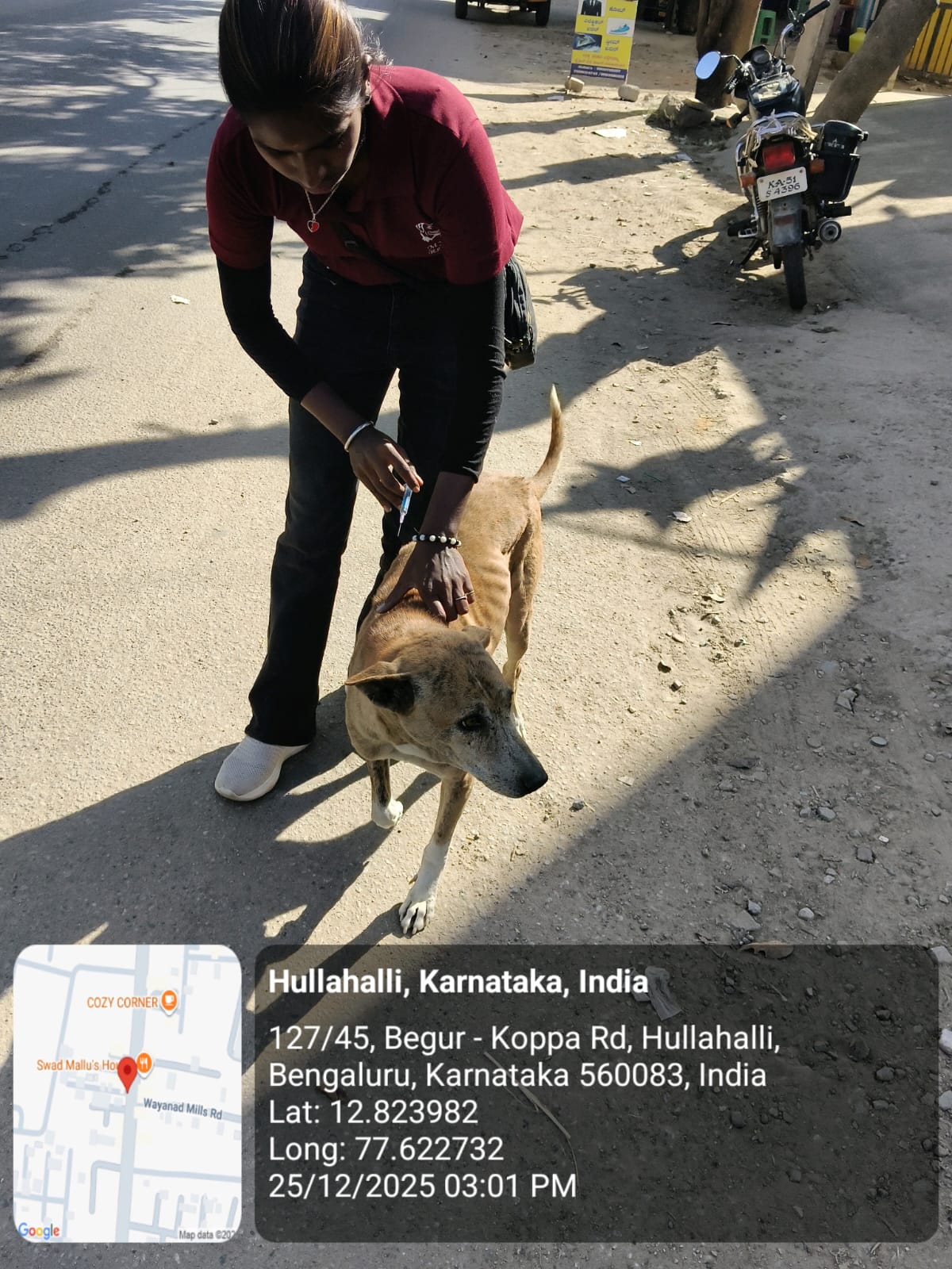 WhatsApp Image 2025-12-29 at 11.12.05 AM (2)