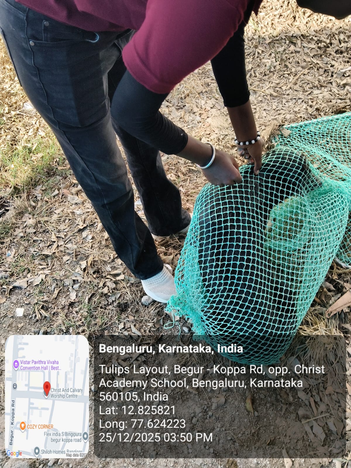 WhatsApp Image 2025-12-29 at 11.12.05 AM