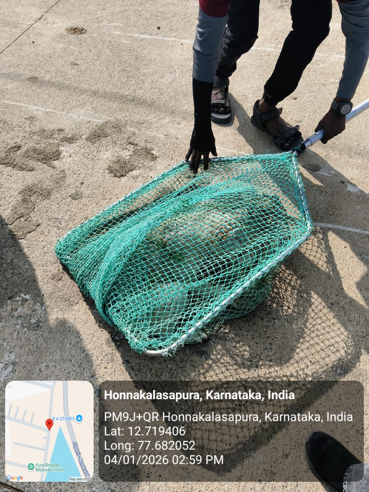 WhatsApp Image 2026-01-05 at 12.14.21 PM