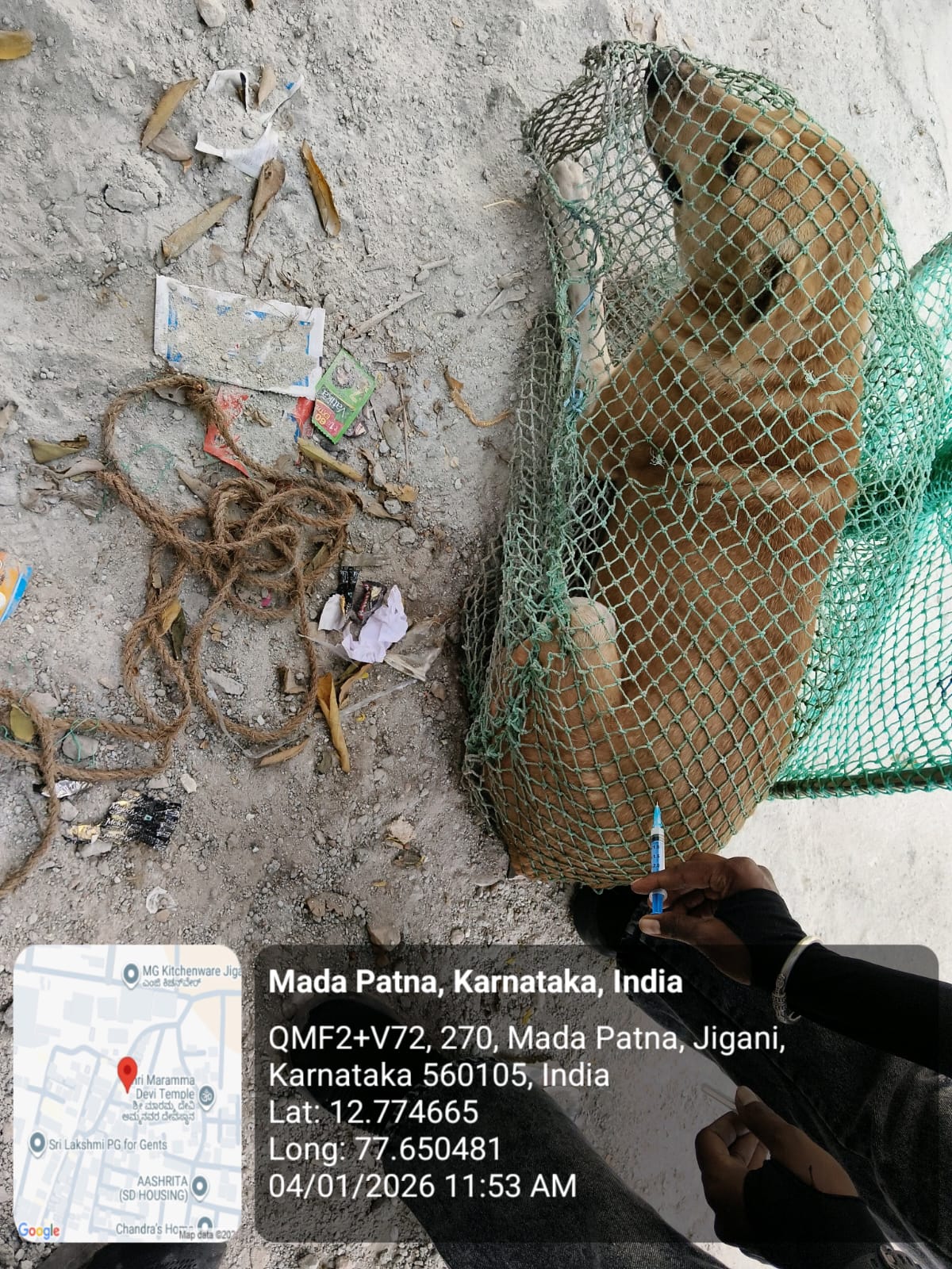 WhatsApp Image 2026-01-05 at 12.15.12 PM (1)