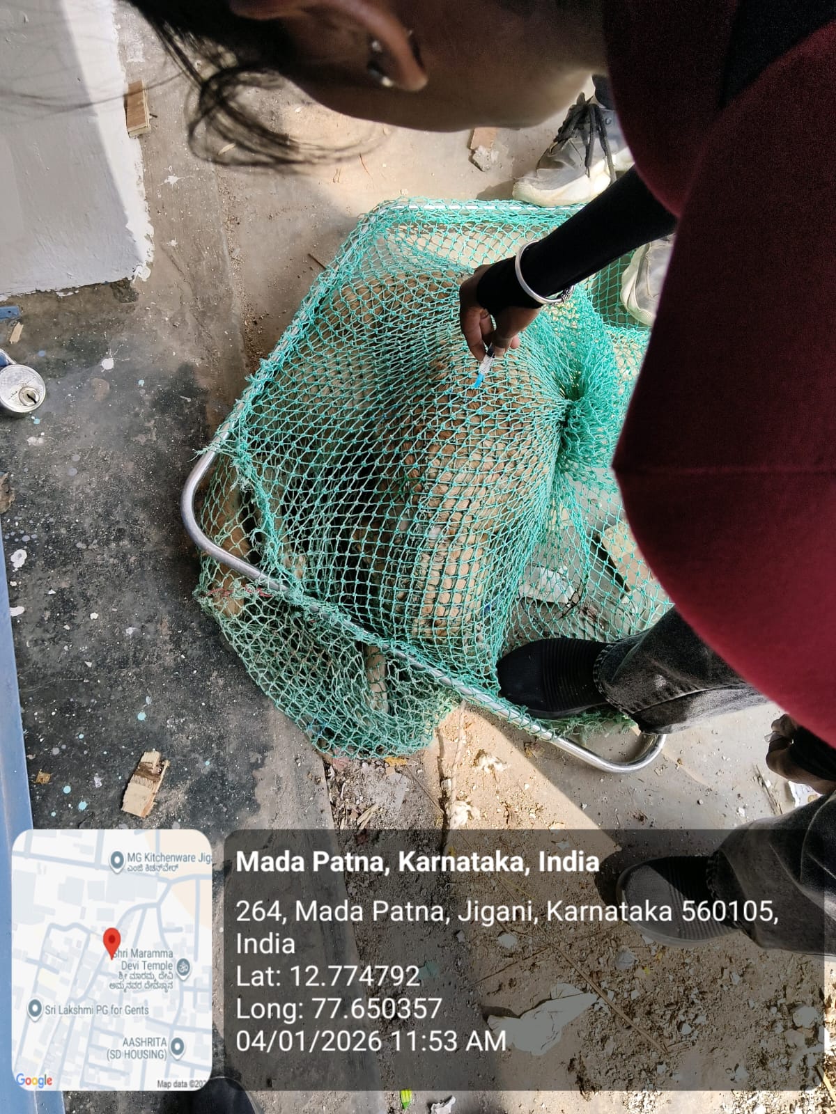 WhatsApp Image 2026-01-05 at 12.15.12 PM