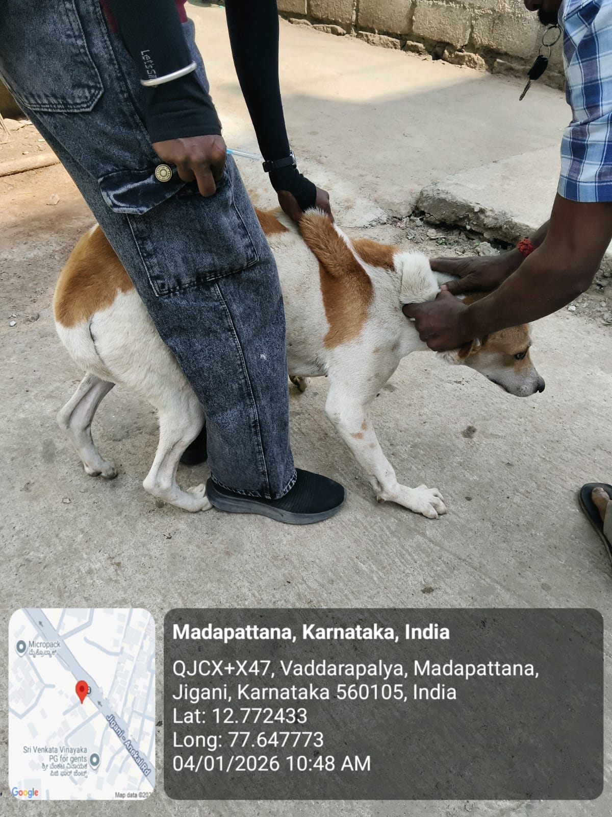 WhatsApp Image 2026-01-05 at 12.15.25 PM (1)