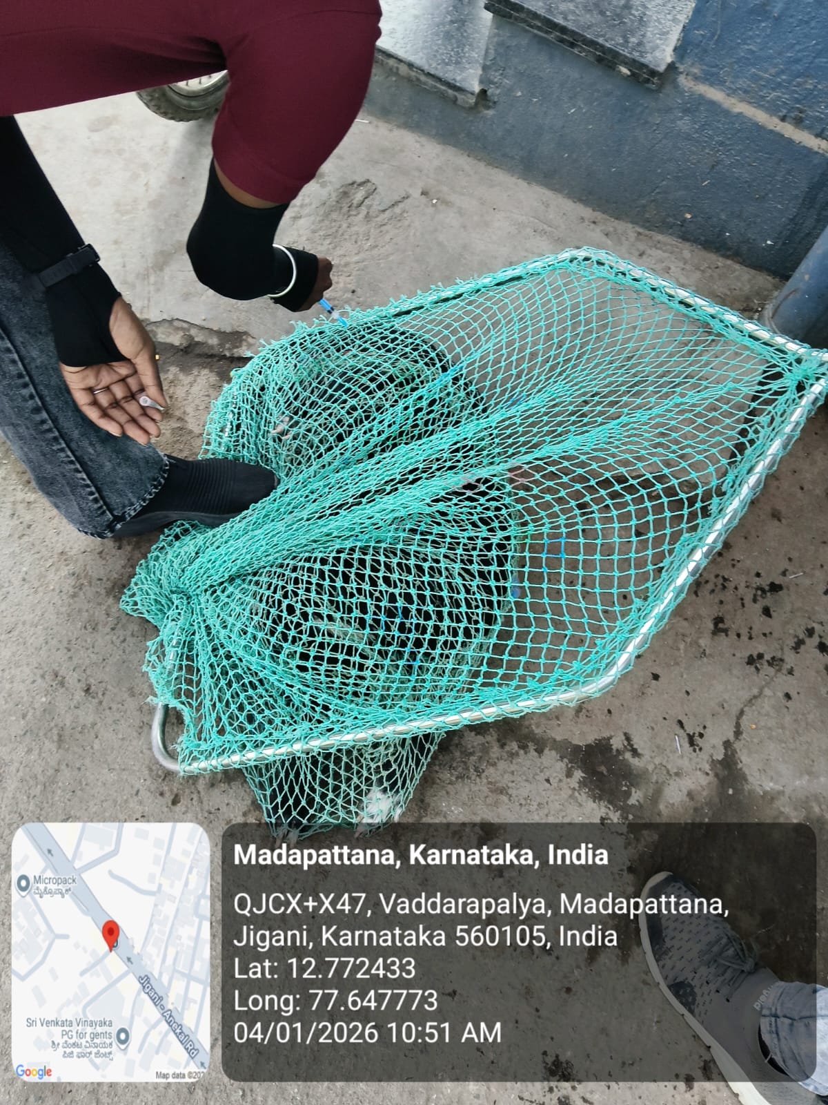 WhatsApp Image 2026-01-05 at 12.15.25 PM