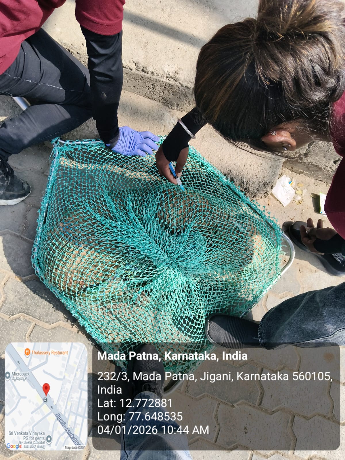 WhatsApp Image 2026-01-05 at 12.15.26 PM (1)