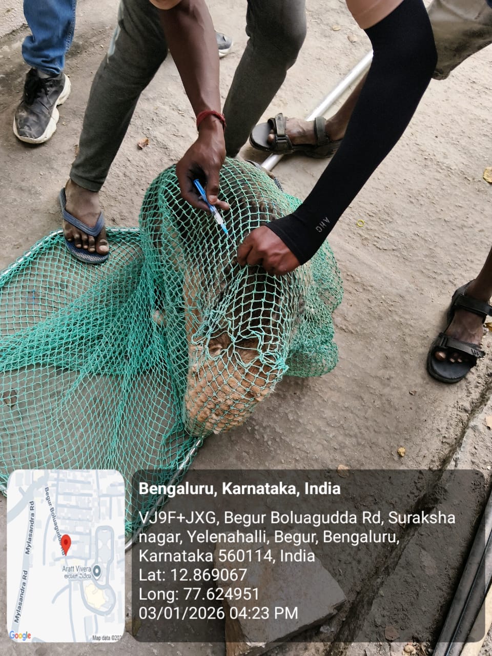 WhatsApp Image 2026-01-05 at 12.36.23 PM (1)