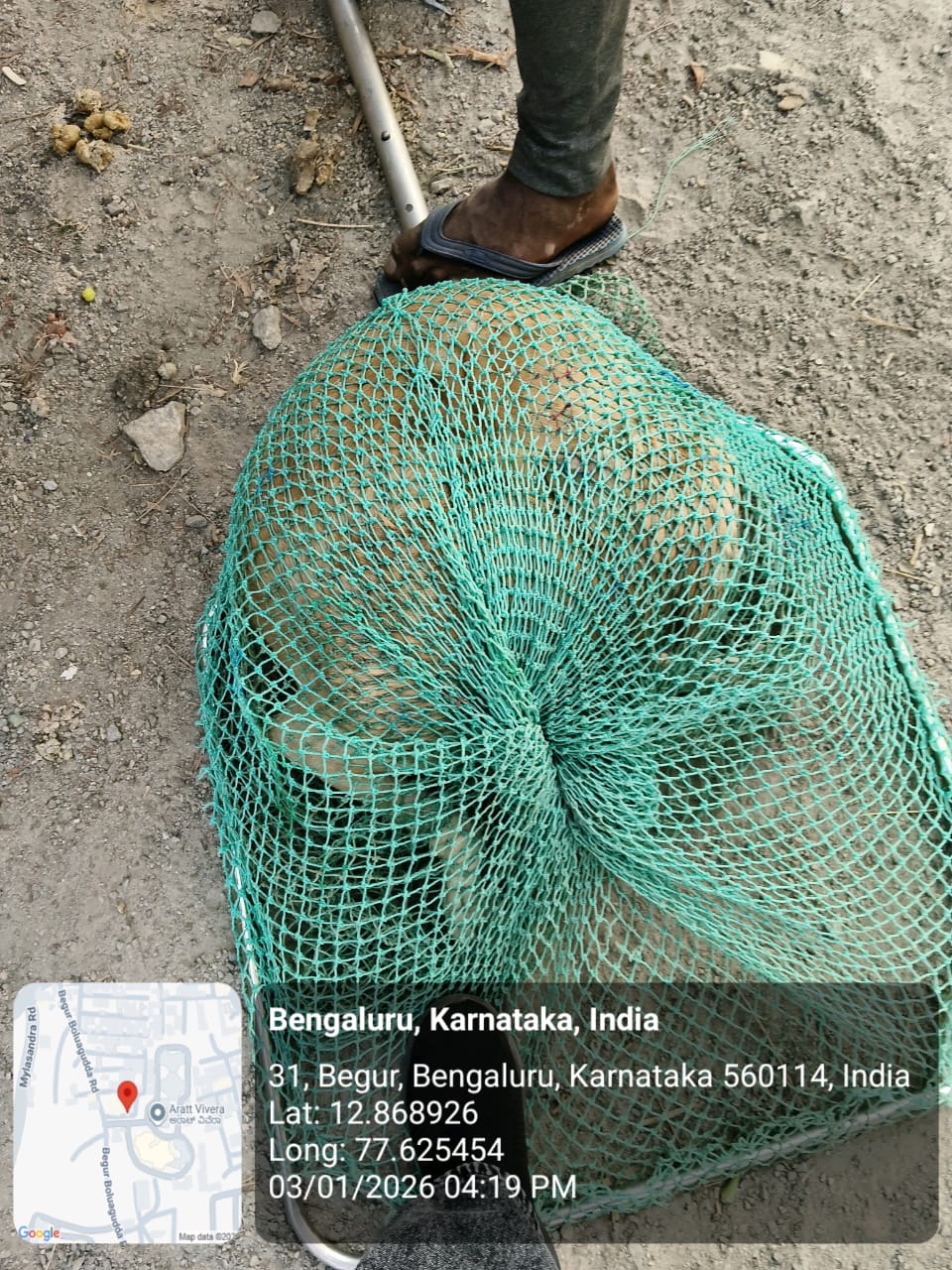 WhatsApp Image 2026-01-05 at 12.36.24 PM (1)