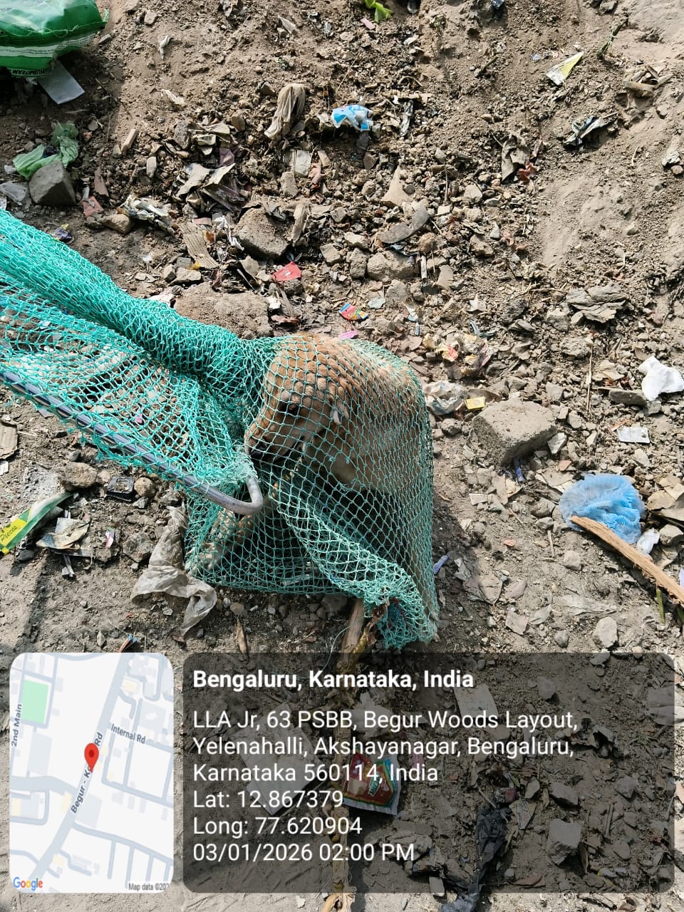 WhatsApp Image 2026-01-05 at 12.36.39 PM (1)