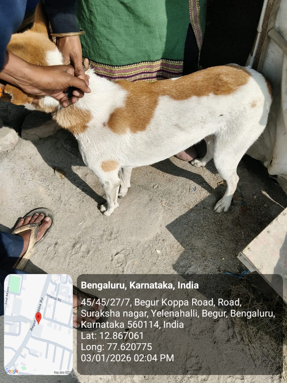 WhatsApp Image 2026-01-05 at 12.36.39 PM