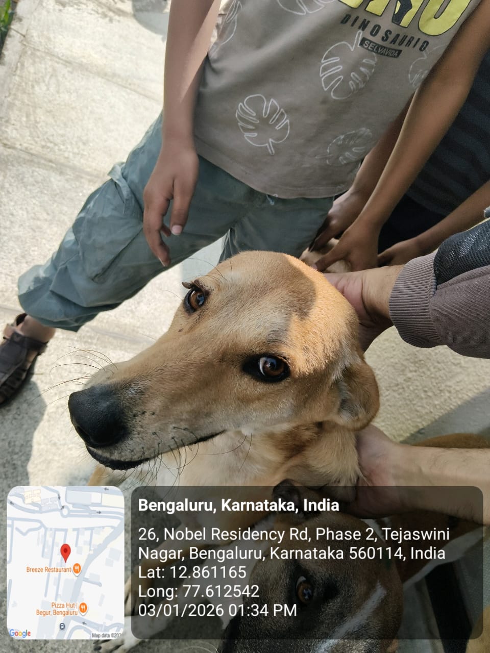 WhatsApp Image 2026-01-05 at 12.36.40 PM (1)