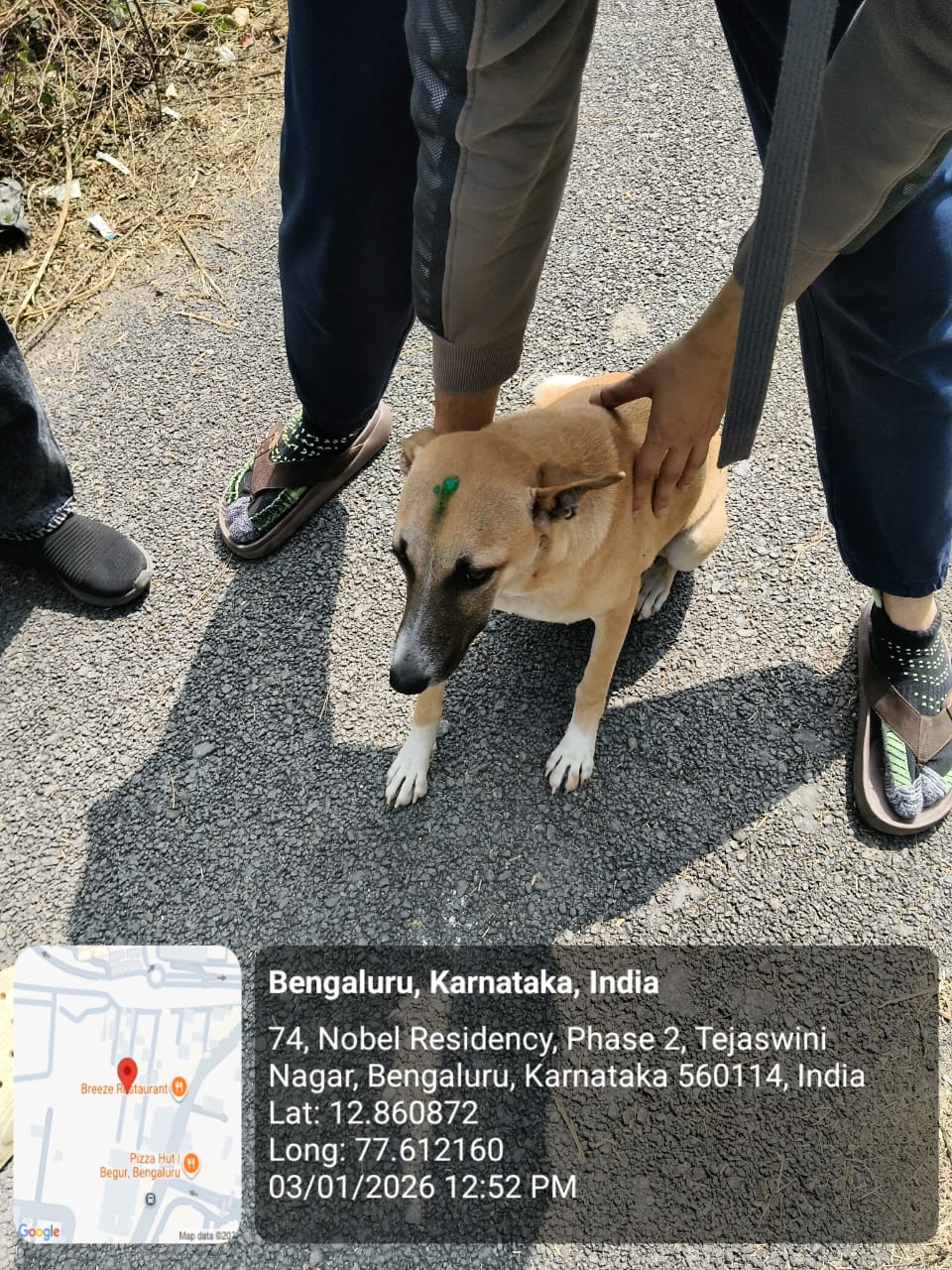 WhatsApp Image 2026-01-05 at 12.37.58 PM (1)