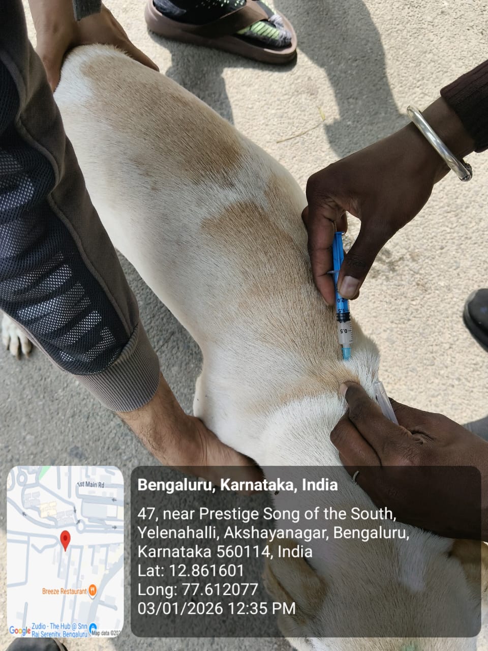 WhatsApp Image 2026-01-05 at 12.37.58 PM