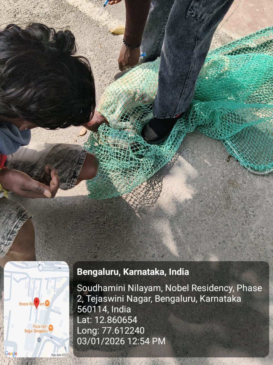 WhatsApp Image 2026-01-05 at 12.37.59 PM