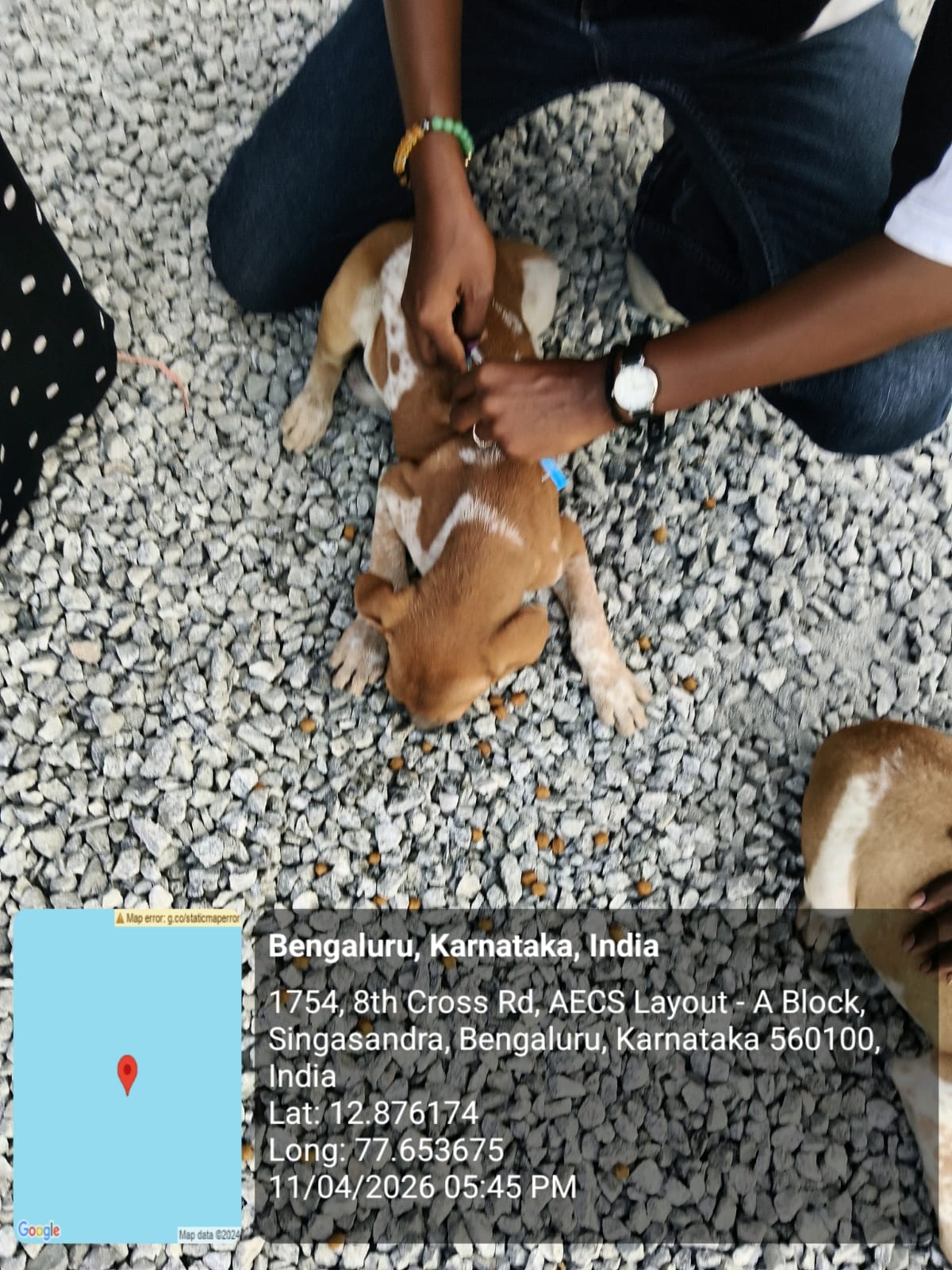 WhatsApp Image 2026-04-22 at 12.33.39 PM