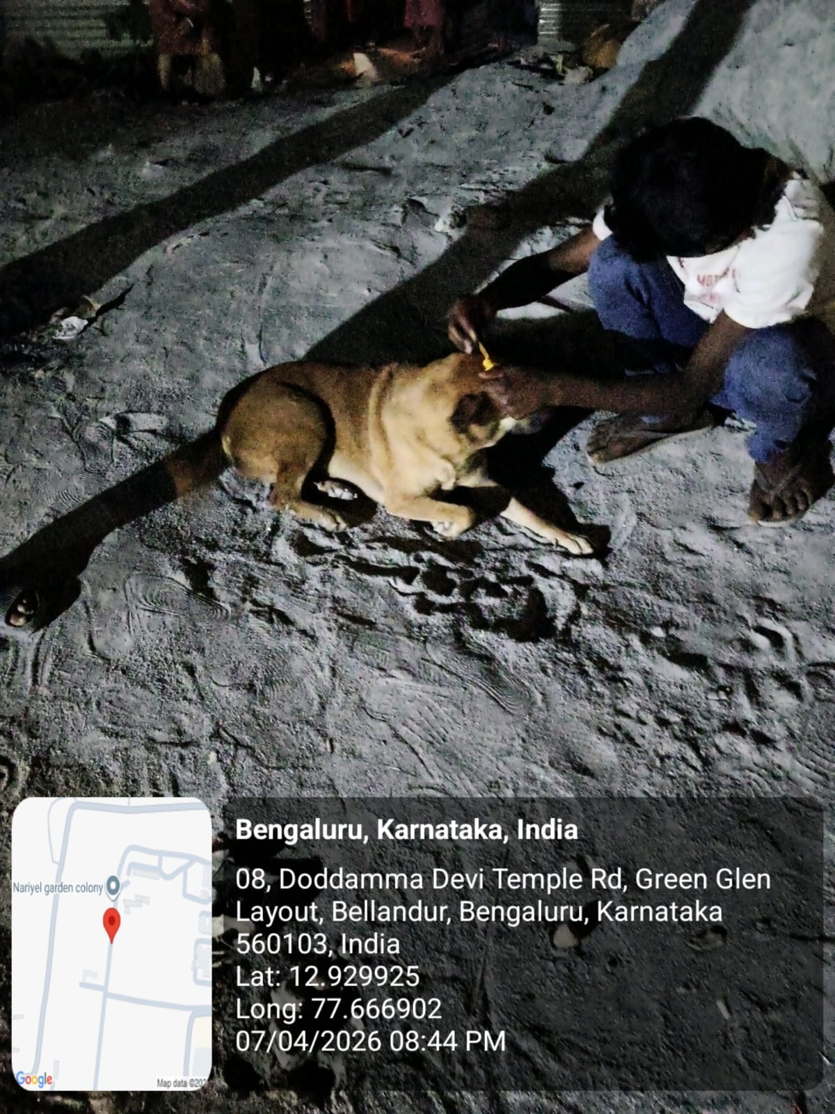WhatsApp Image 2026-05-21 at 9.24.45 PM