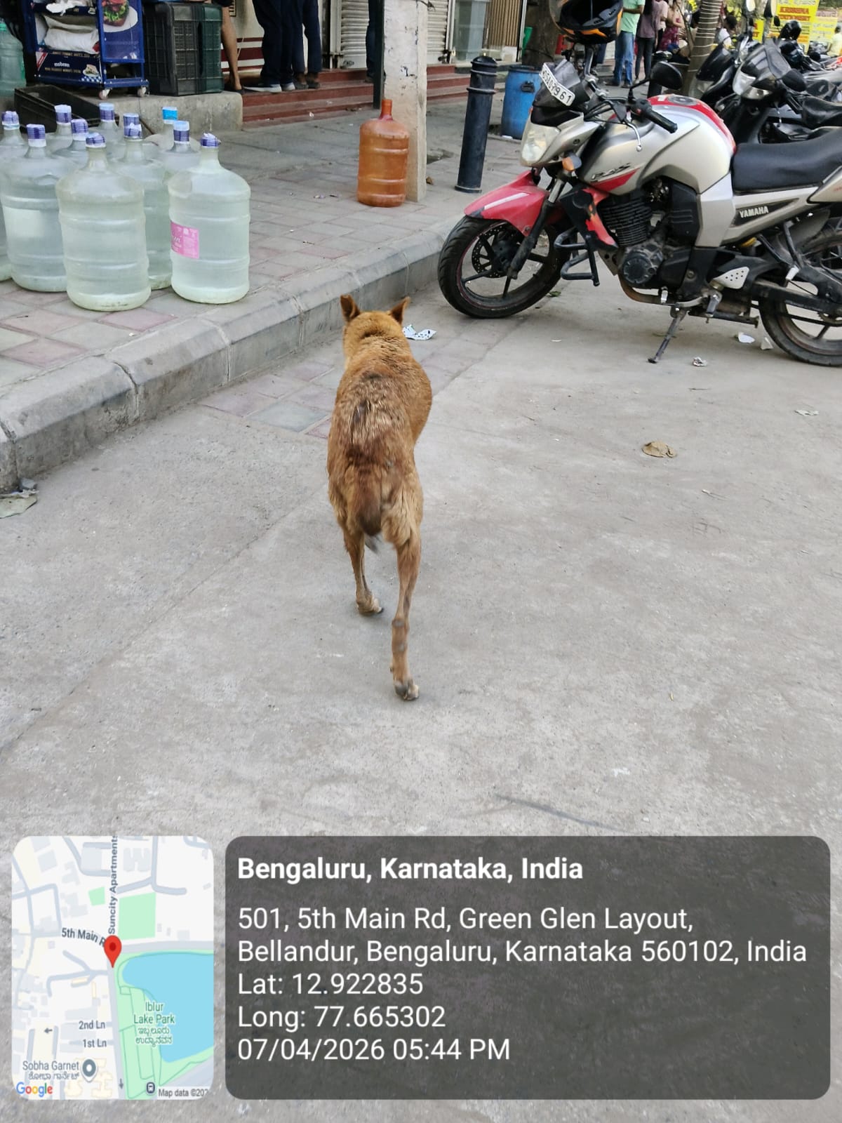 WhatsApp Image 2026-05-21 at 9.24.48 PM