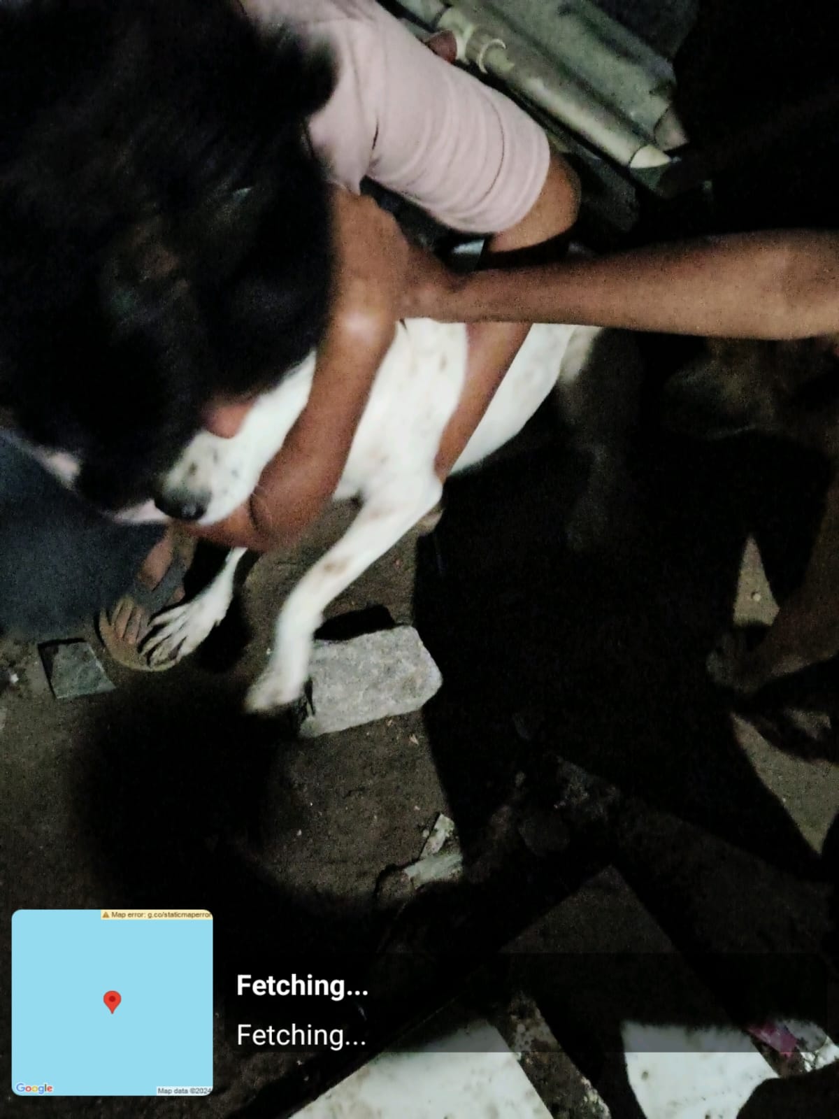 WhatsApp Image 2026-05-21 at 9.24.54 PM (1)