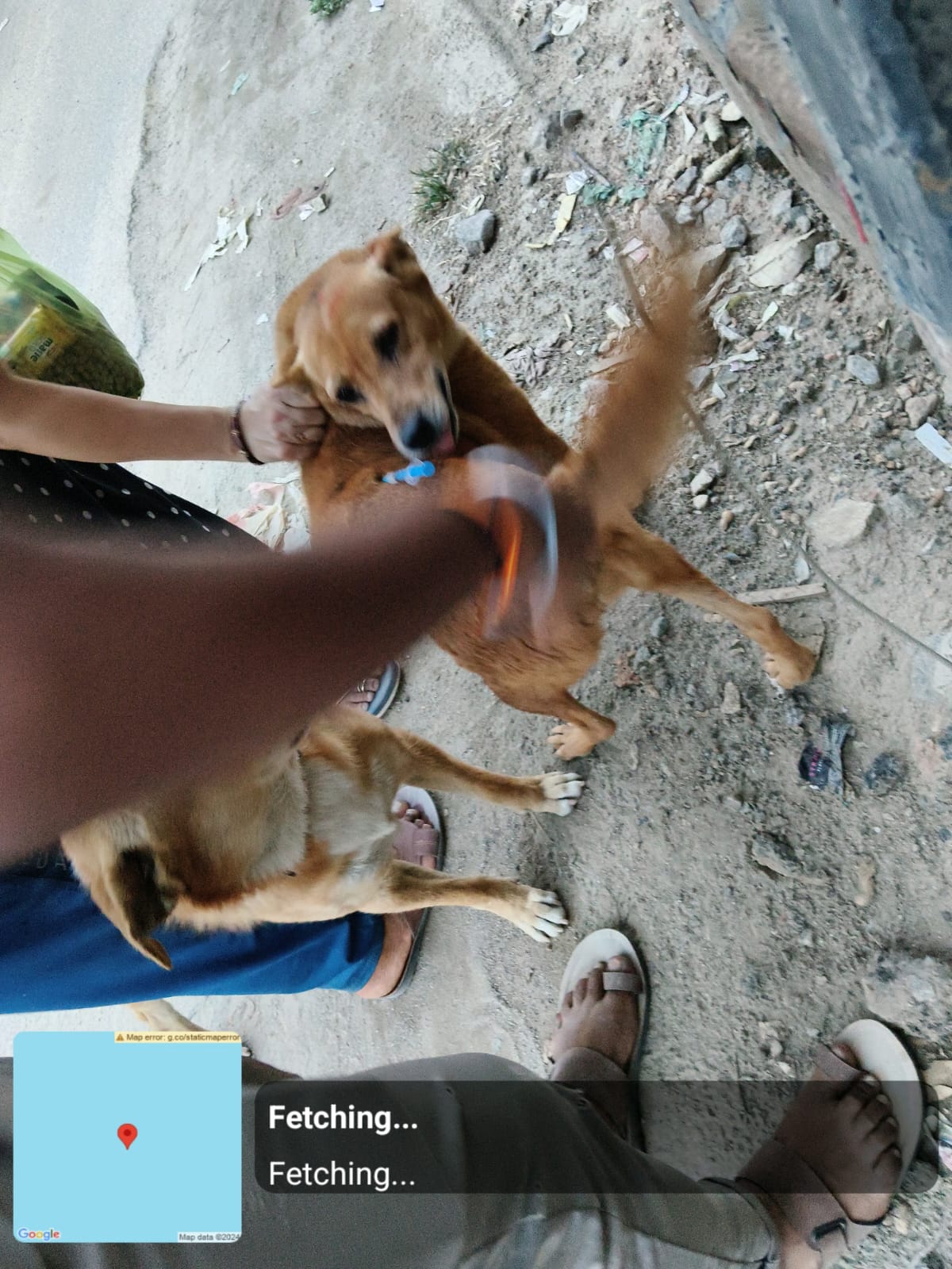 WhatsApp Image 2026-05-21 at 9.24.59 PM