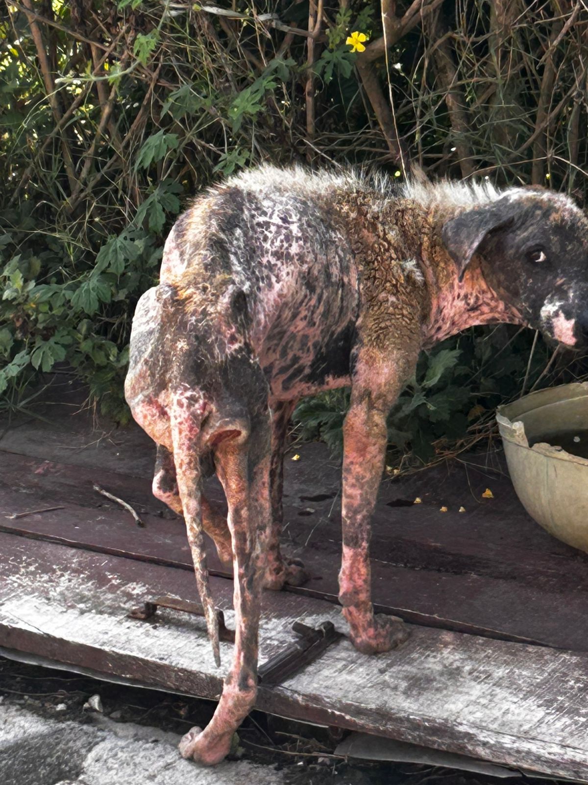 Abuse & Neglect