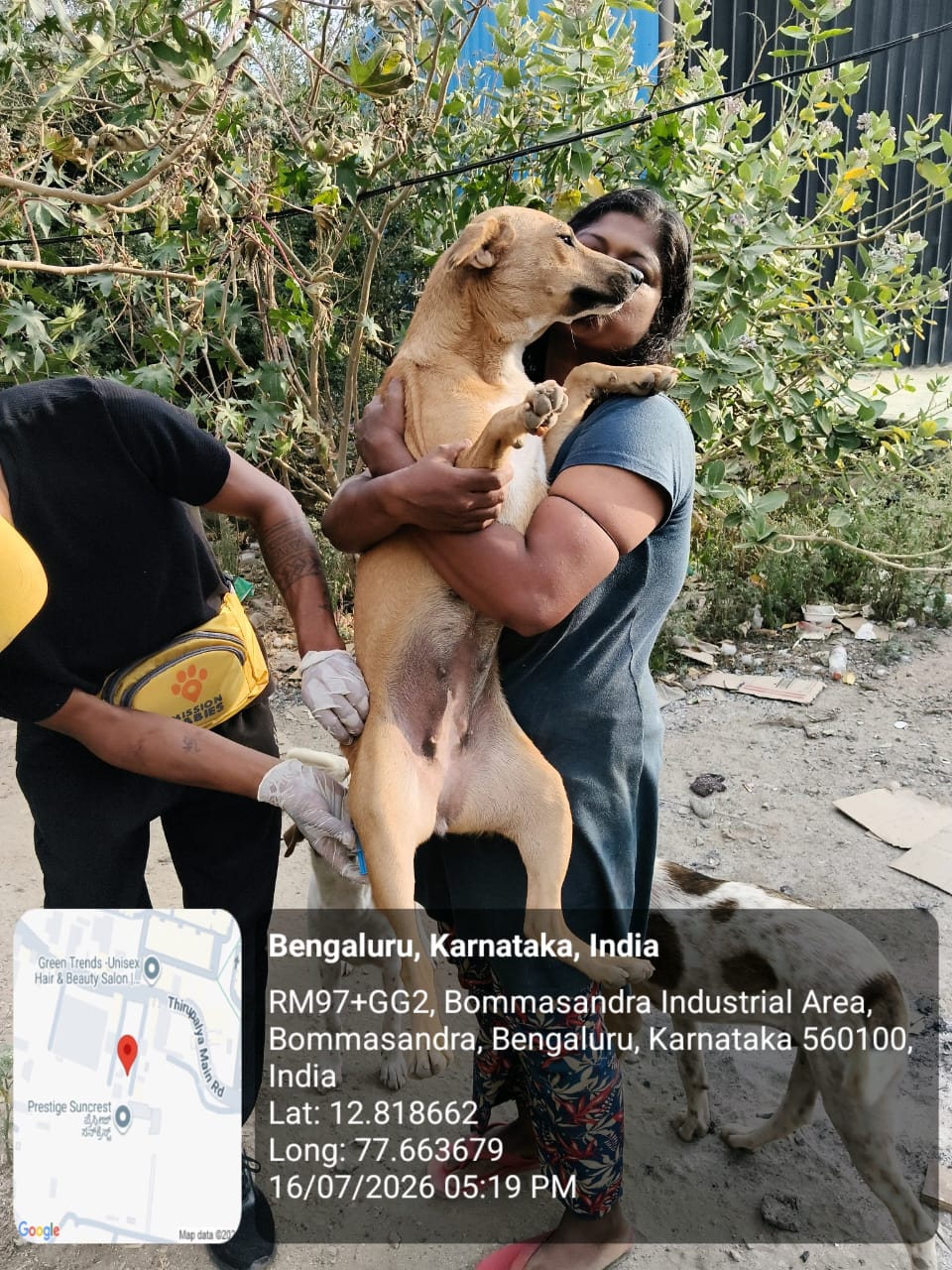 WhatsApp Image 2026-07-17 at 4.40.39 PM (2)