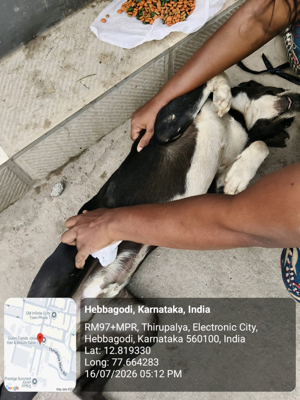WhatsApp Image 2026-07-17 at 4.40.39 PM