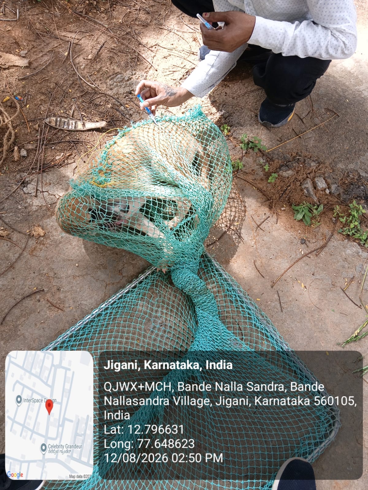 WhatsApp Image 2026-08-13 at 10.49.06 AM