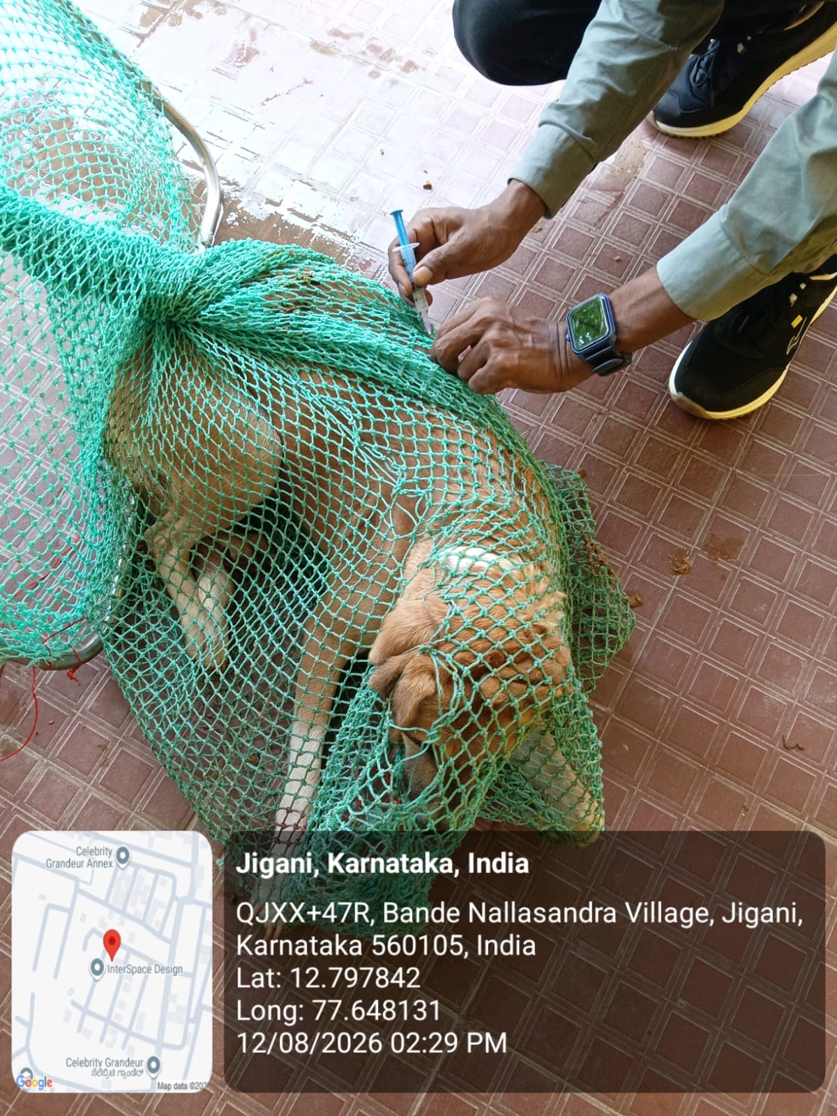 WhatsApp Image 2026-08-13 at 10.49.09 AM