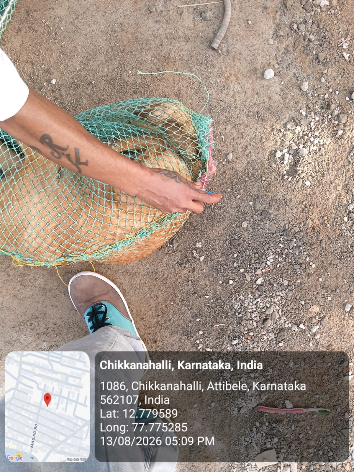 WhatsApp Image 2026-08-13 at 7.55.43 PM (3)
