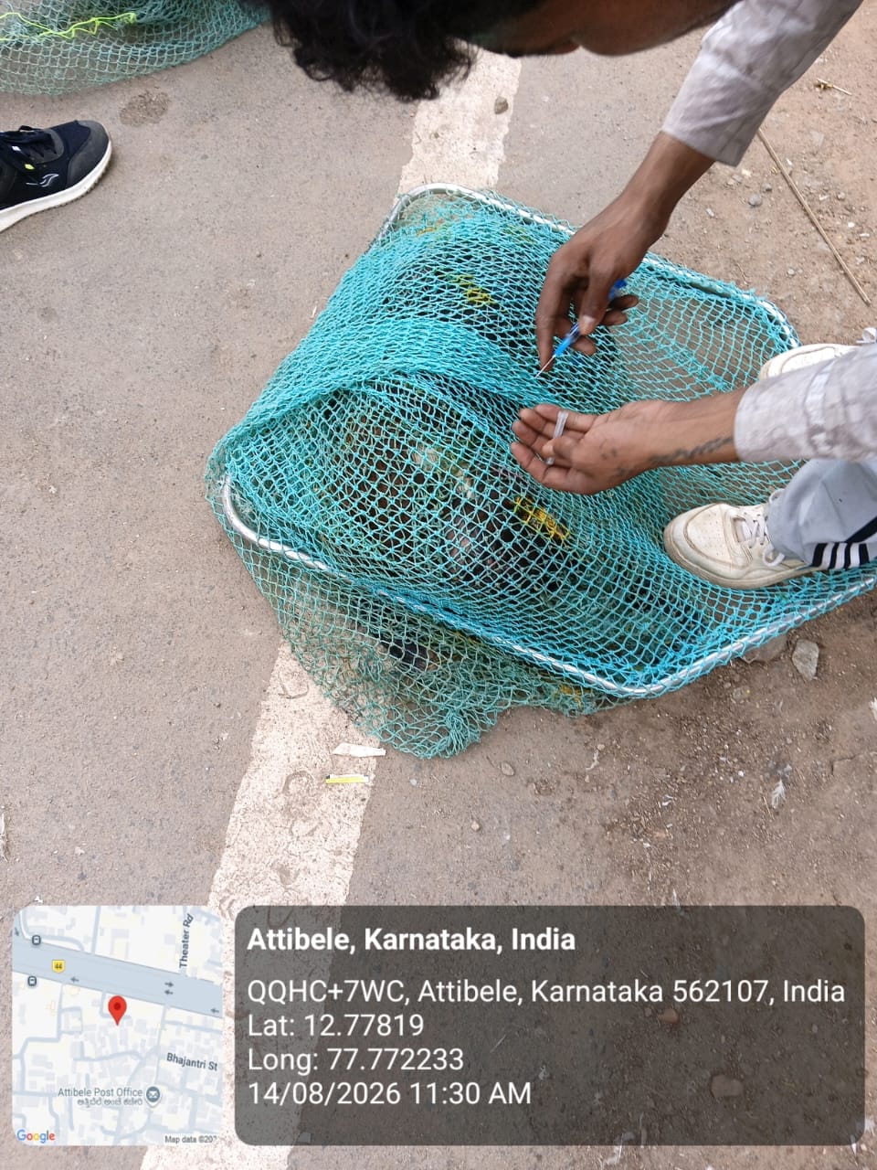 WhatsApp Image 2026-08-14 at 12.14.06 PM