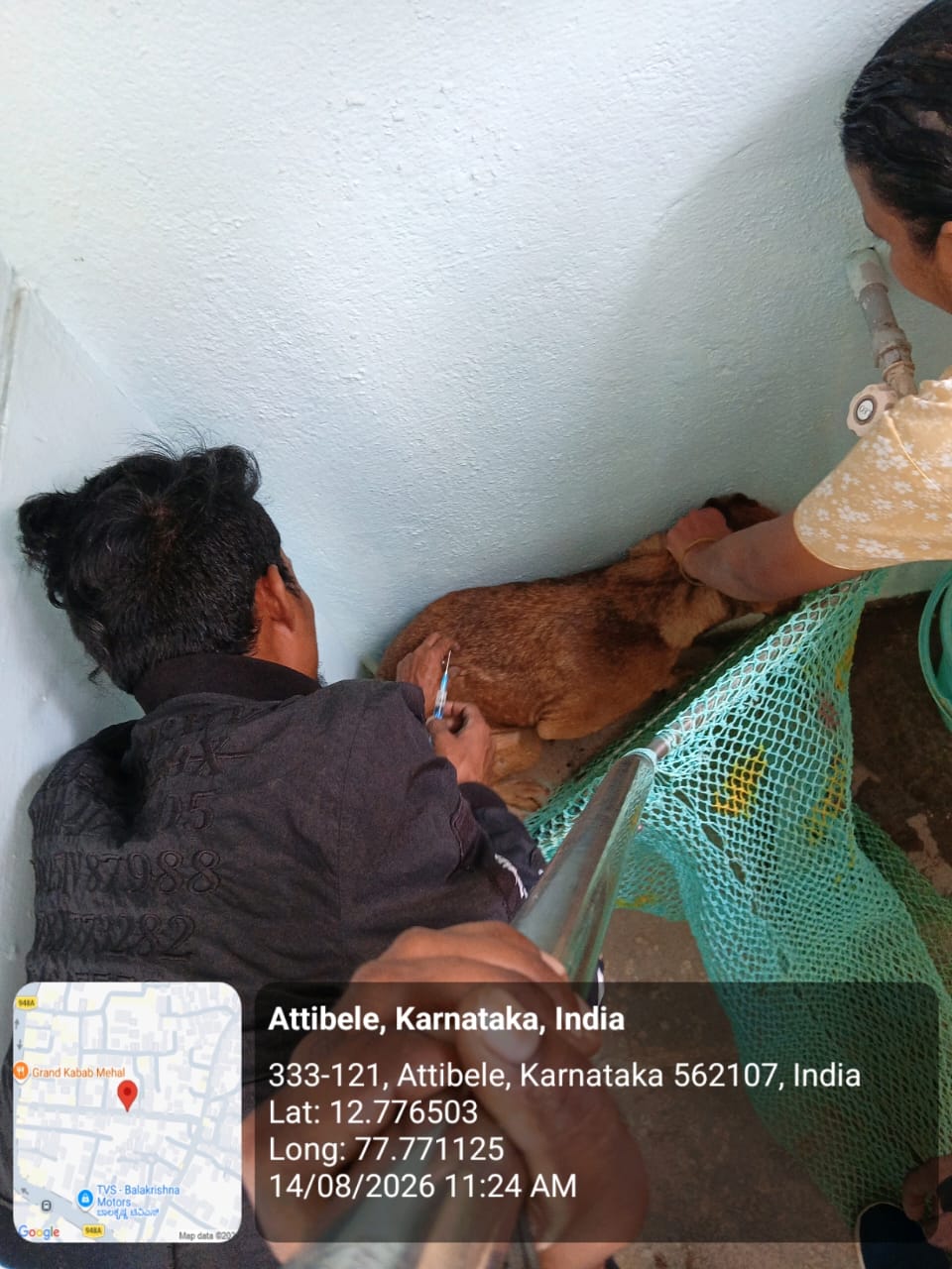 WhatsApp Image 2026-08-14 at 12.14.07 PM