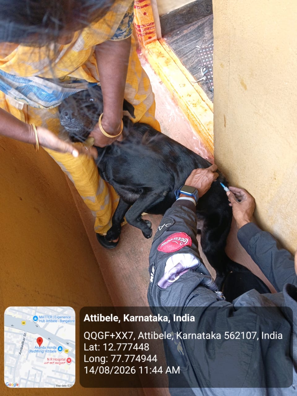 WhatsApp Image 2026-08-14 at 12.14.08 PM (1)