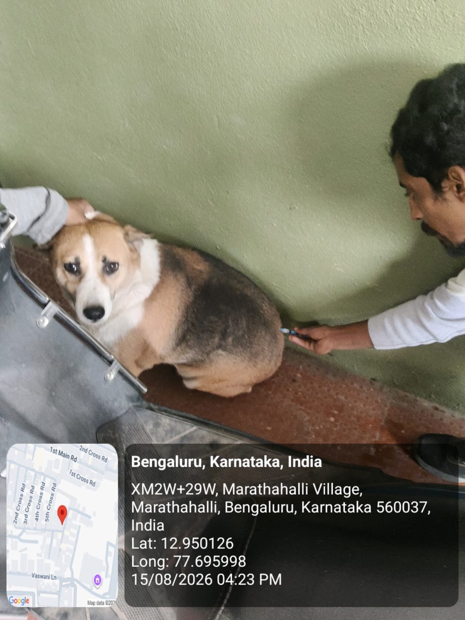 WhatsApp Image 2026-08-15 at 11.49.00 PM (2)