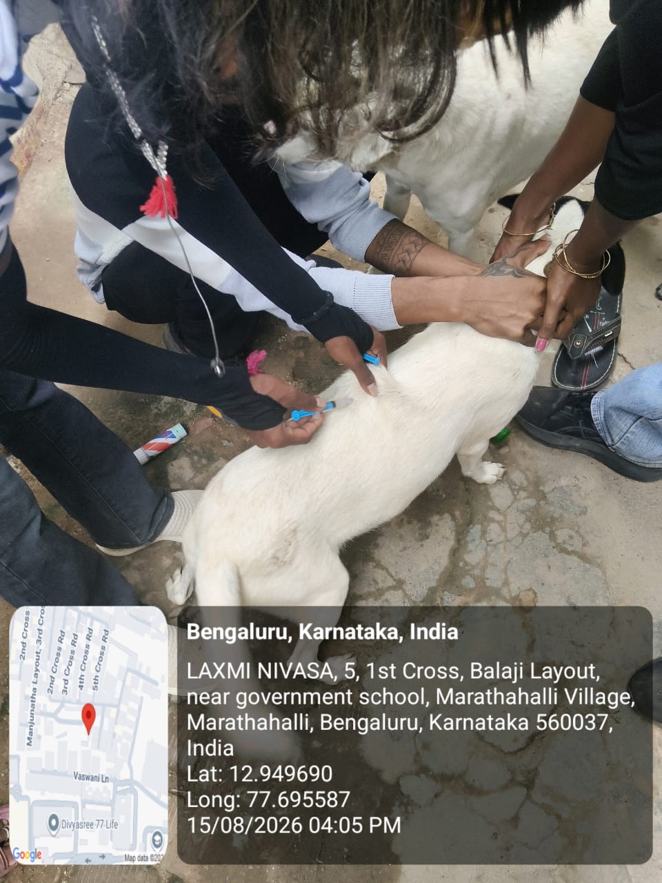 WhatsApp Image 2026-08-15 at 11.49.02 PM (1)